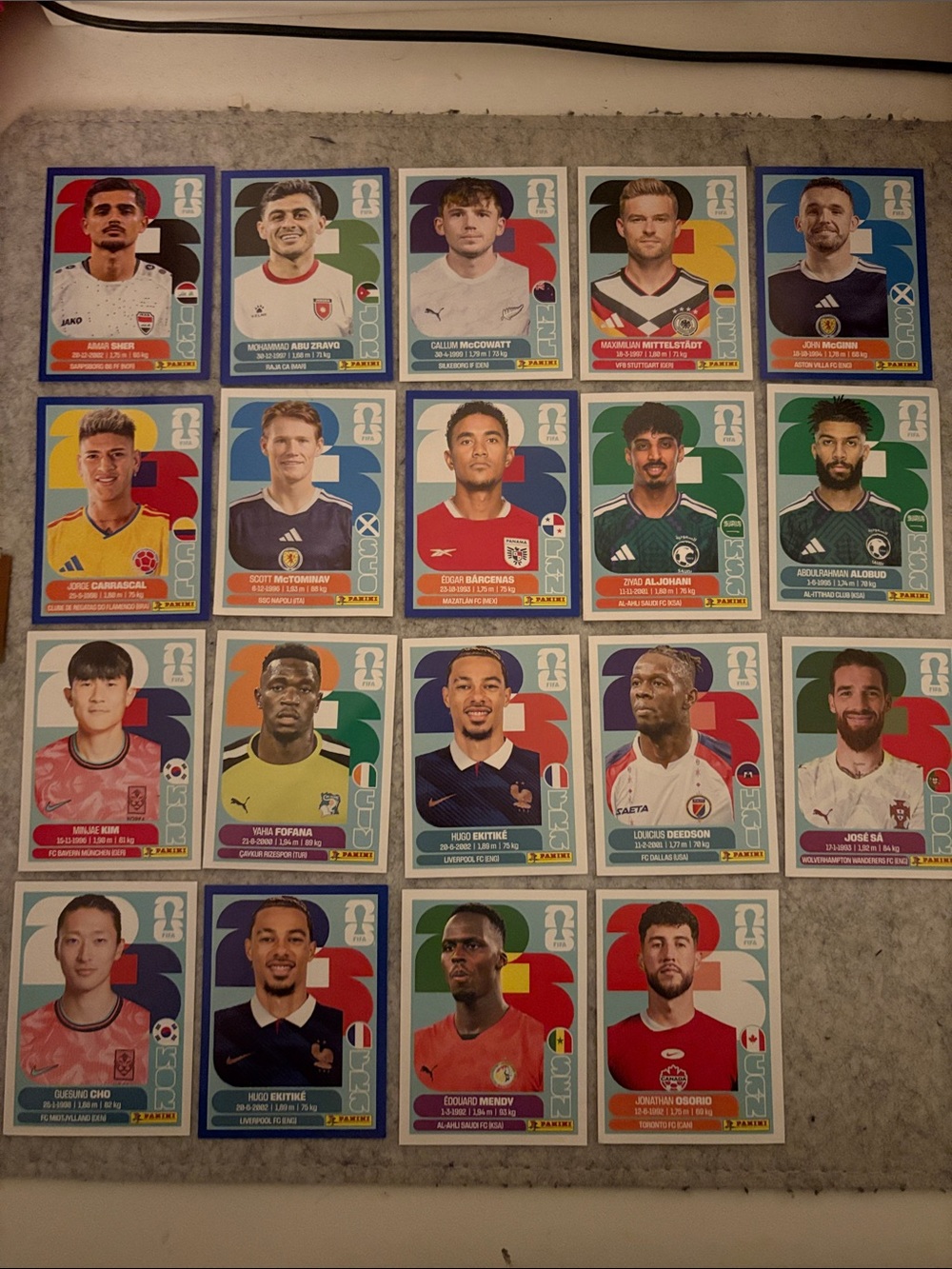 Panini World Cup Player Sticker Collection Assortment